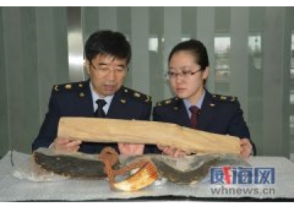 濒危野生动植物入境需申报不然属