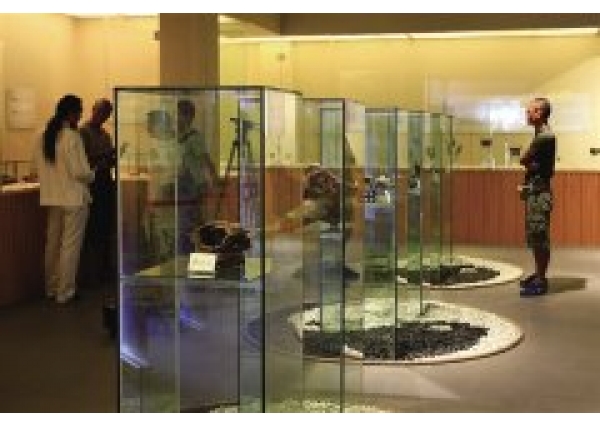 海南三亚首家民营沉香博物馆开馆