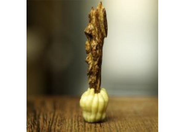 从沉香结成的成因来看结香是什么