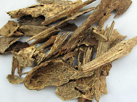 沉香和沉香木两者区别