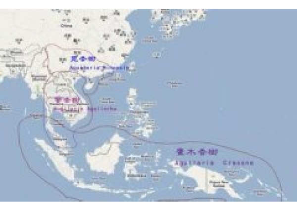 从两张图来了解沉香的主要产地分