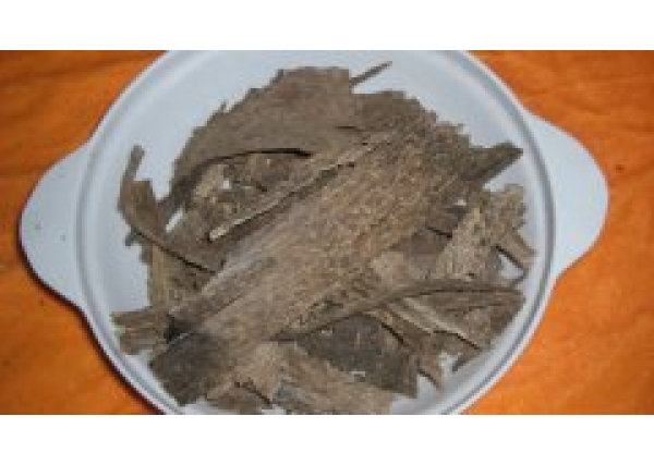沉香的药用健康价值究竟有多高？