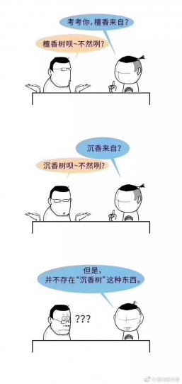 图文详解：沉香的形成过程