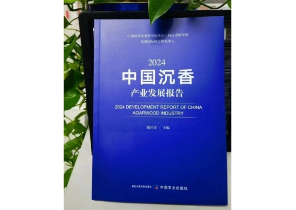 沉香专家和企业家视点与热点：关